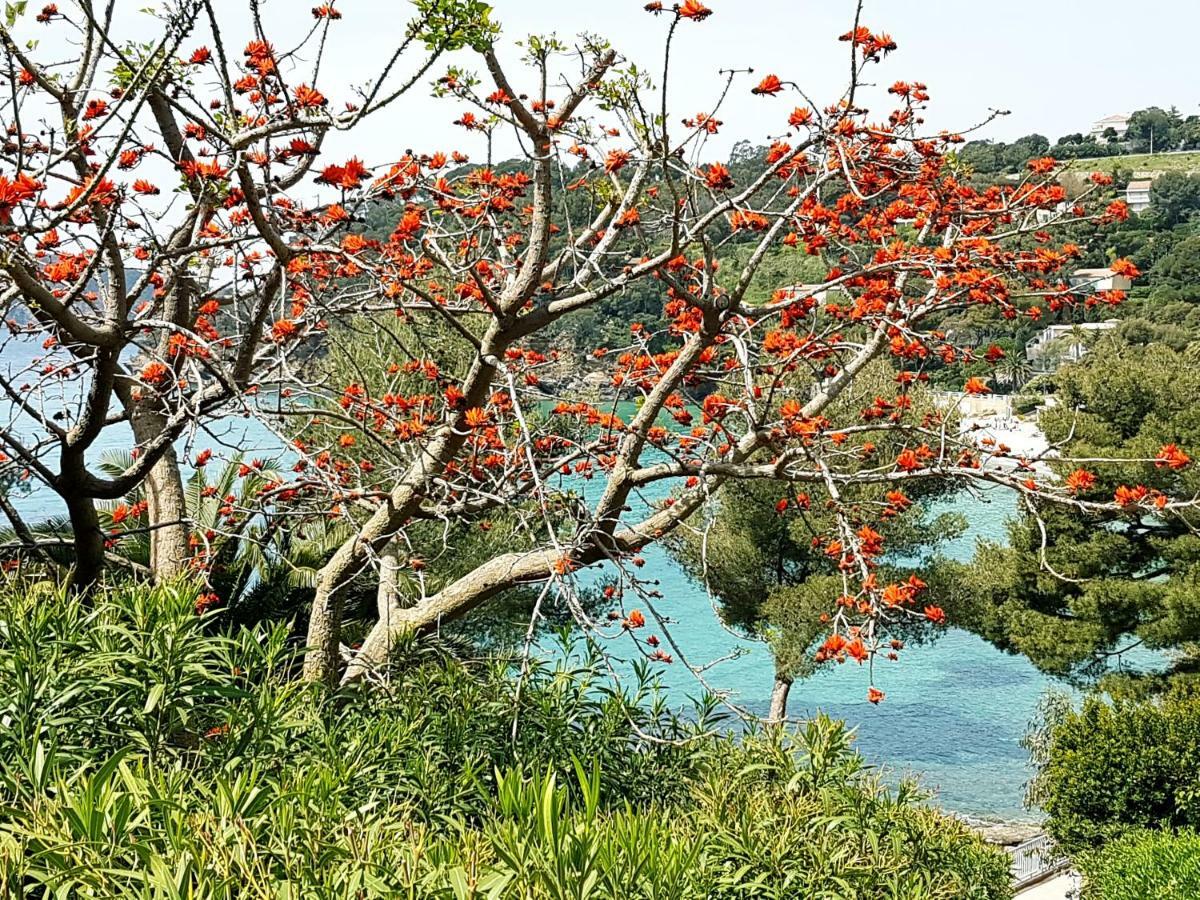 Villa Adriandre Le Le Rayol-Canadel-sur-Mer Екстериор снимка